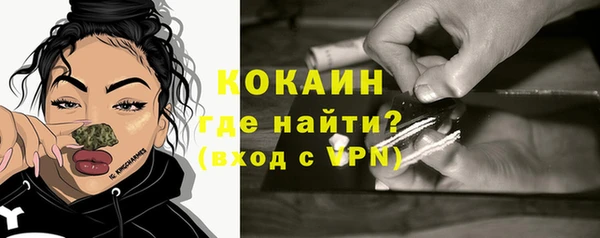сатива Армянск