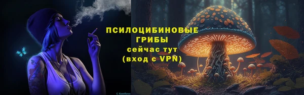 трава Арсеньев