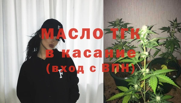 сатива Армянск
