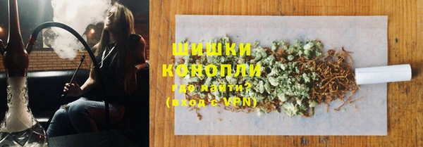 сатива Армянск