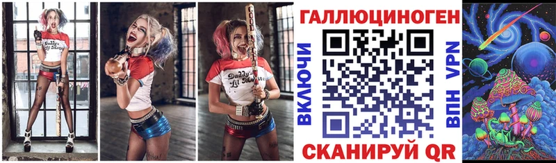 Купить  Юрьев-Польский  Галлюциногенные грибы Psilocybe 